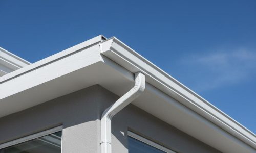 Gutter Cleaning